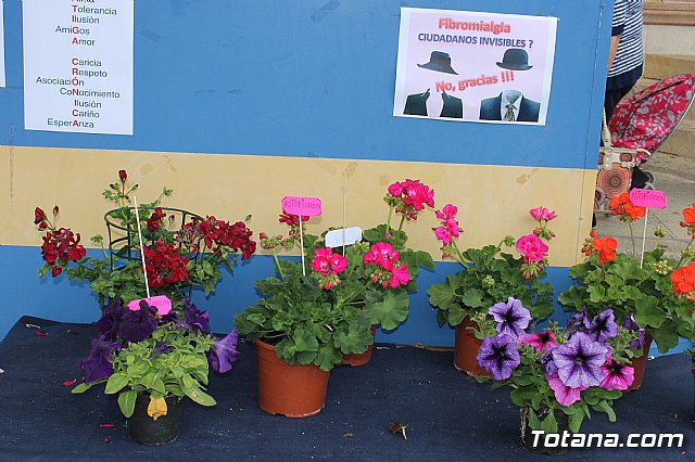Totana conmemora el Da Internacional de la Fibromialgia - 5