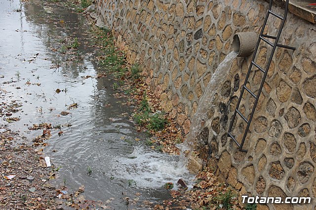 Totana conmemora el Da Internacional de la Fibromialgia - 17