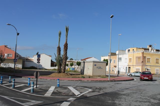Los jardines del municipio cuentan con tres nuevos ejemplares de palmeras bicfalas gracias a la donacin de un vecino de El Cañarico, Foto 1