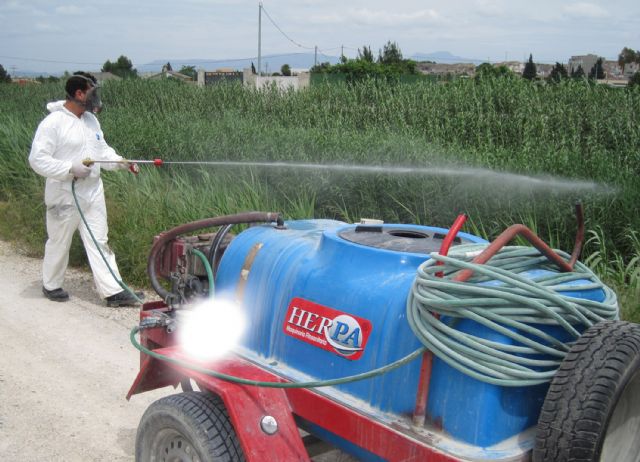 Vuelve la guerra contra los mosquitos en Las Torres de Cotillas - 2, Foto 2