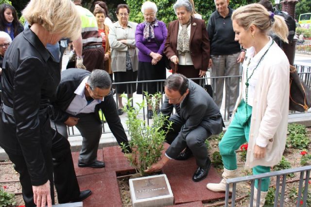Los usuarios de los centros de día plantan árboles en La Glorieta en recuerdo de su aniversario - 1, Foto 1