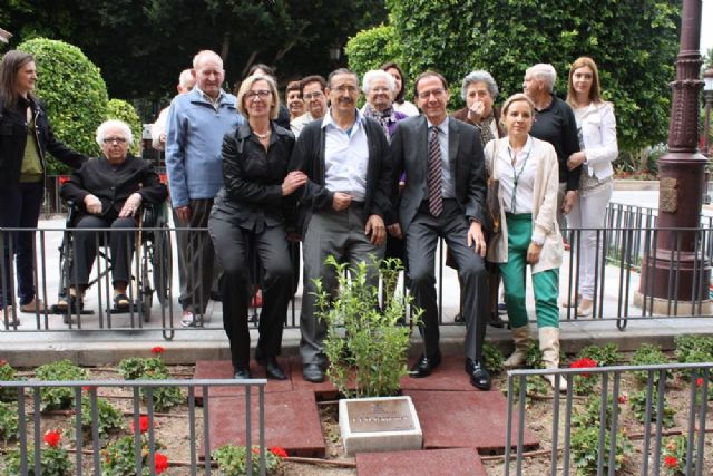 Los usuarios de los centros de día plantan árboles en La Glorieta en recuerdo de su aniversario - 2, Foto 2