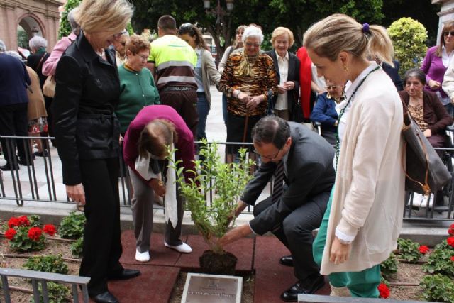 Los usuarios de los centros de día plantan árboles en La Glorieta en recuerdo de su aniversario - 3, Foto 3