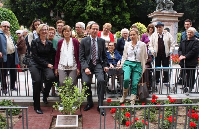 Los usuarios de los centros de día plantan árboles en La Glorieta en recuerdo de su aniversario - 4, Foto 4