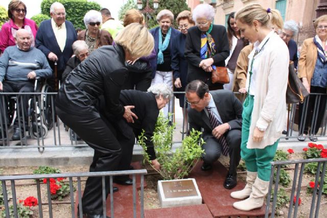 Los usuarios de los centros de día plantan árboles en La Glorieta en recuerdo de su aniversario - 5, Foto 5
