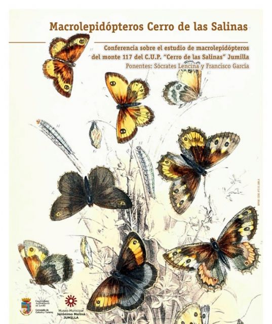 Este viernes se celebra la conferencia Macrolepidópeteros del Cerro de Salinas - 1, Foto 1