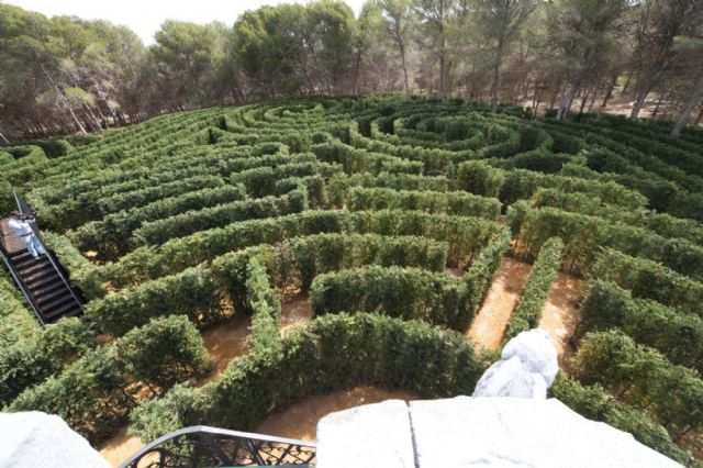 Aventura asegurada en el nuevo laberinto vegetal de Tentegorra, el más largo de España - 2, Foto 2