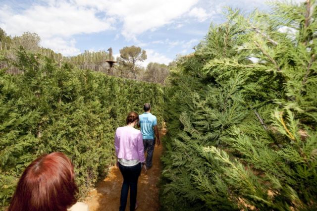 Aventura asegurada en el nuevo laberinto vegetal de Tentegorra, el más largo de España - 5, Foto 5
