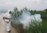 Vuelve la guerra contra los mosquitos en Las Torres de Cotillas