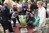 Los usuarios de los centros de día plantan árboles en La Glorieta en recuerdo de su aniversario