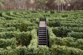 Aventura asegurada en el nuevo laberinto vegetal de Tentegorra, el ms largo de España