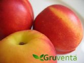 GRUVENTA vislumbra una campaña para la fruta de hueso española 'equilibrada y con gran calidad'