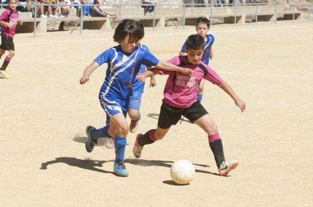 Minera, Torre Pacheco y Juvenia, primeros clasificados de la liga de cadetes - 4, Foto 4