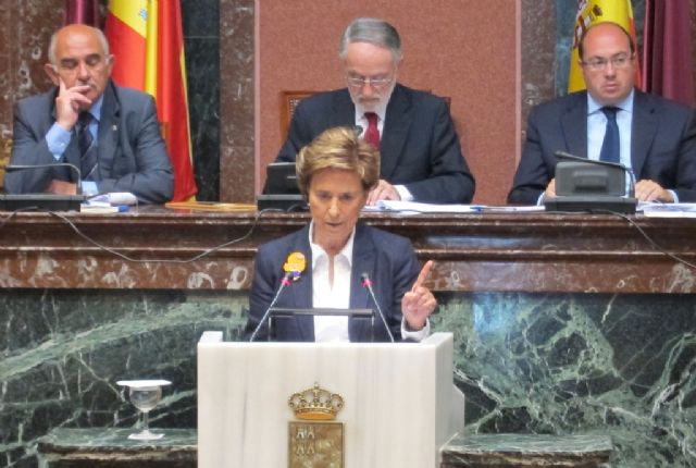 Soler: Heredamos una Ley de Dependencia inviable y estamos trabajando para cambiarla - 1, Foto 1