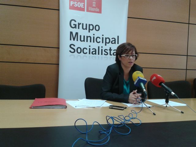 El Grupo Socialista denuncia la dejadez y falta de control en la gestión del centro de conciliación de Juan Carlos I - 1, Foto 1