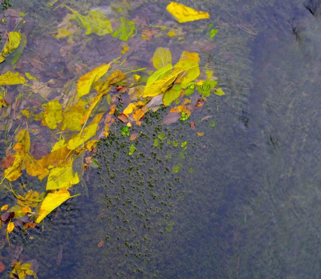 Solana inaugura esta tarde en el Arqua, Playa Vacante - 3, Foto 3