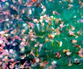 Solana inaugura esta tarde en el Arqua, Playa Vacante