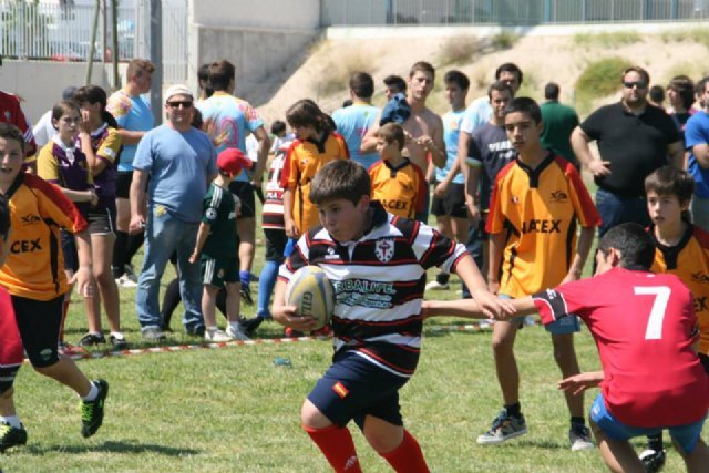 El Club de Rugby de Totana en el Campeonato Regional de Escuelas de Rugby - 1, Foto 1