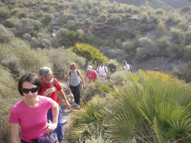 La concejalia de Deportes organizó una ruta de senderismo por la costa cartagenera, Foto 1