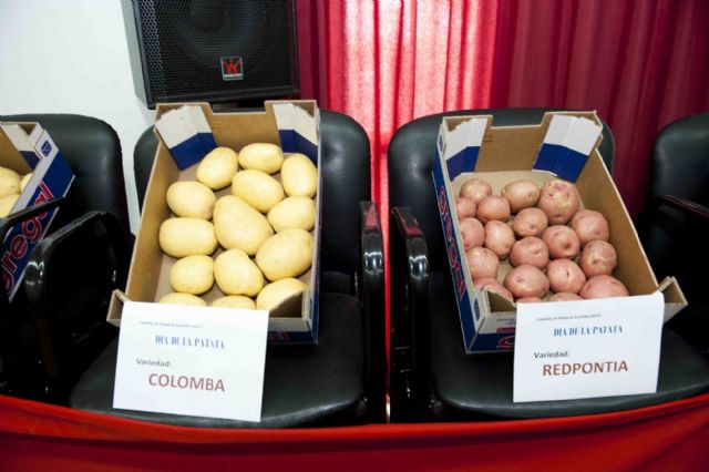 La patata, reina por un día en La Puebla - 5, Foto 5