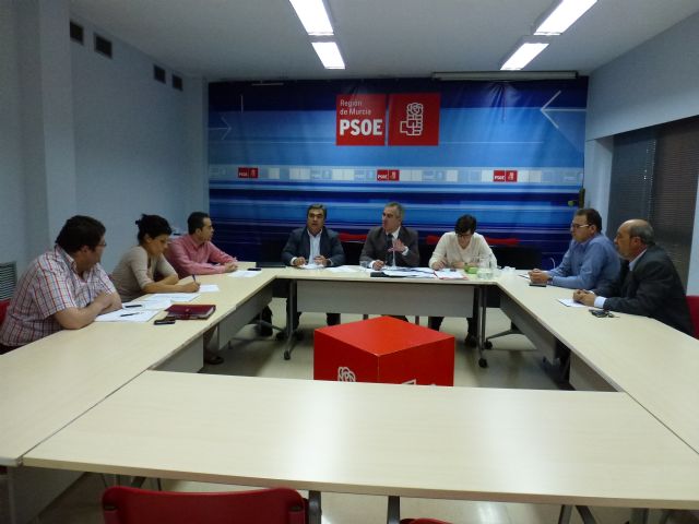 El PSOE quiere que se aplique en todos los municipios la Ley de Transparencia que ha llevado a la Asamblea - 1, Foto 1