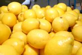ASAJA Murcia ``valora muy positivamente´´ la homologación de los contratos de compraventa de limones y pomelos