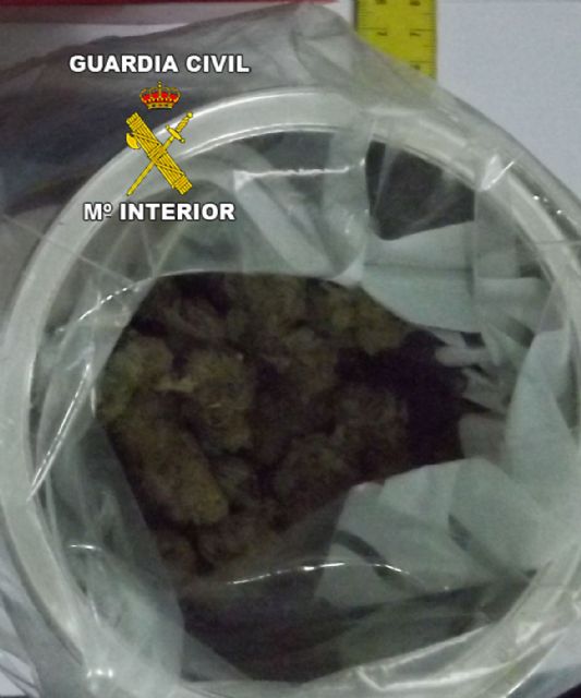 La Guardia Civil desmantela dos invernaderos clandestinos de marihuana con más de 300 plantas - 1, Foto 1