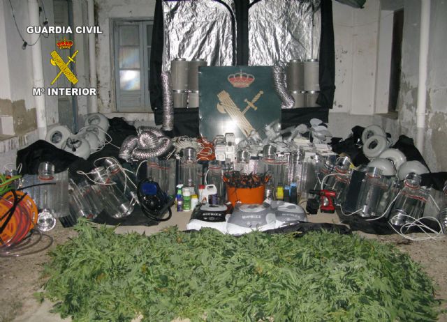 La Guardia Civil desmantela dos invernaderos clandestinos de marihuana con más de 300 plantas - 5, Foto 5