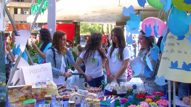 Alumnos cehegineros aprenden las claves de la cultura emprendedora - 2, Foto 2