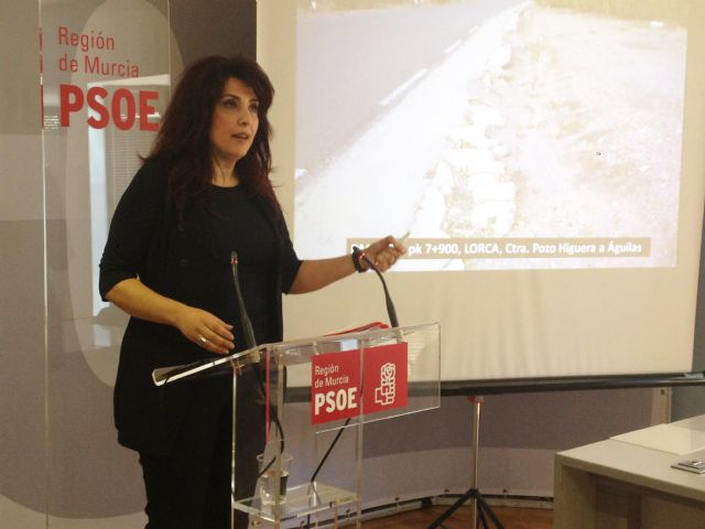 El PSOE reta al Gobierno Regional a que explique por qué tiene abandonada la red de carreteras por la que circula el 80% del tráfico regional - 1, Foto 1