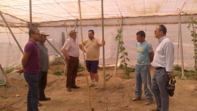 El director general de Industria Agroalimentaria y Capacitación Agraria visita Águilas - 1, Foto 1