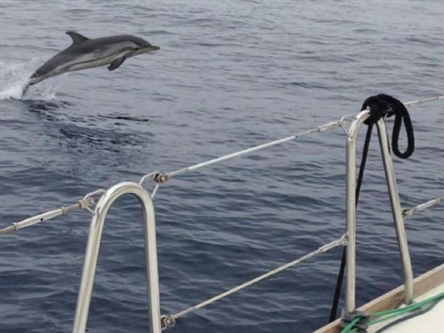 La regata de Portmán ya es la primera a nivel regional - 4, Foto 4