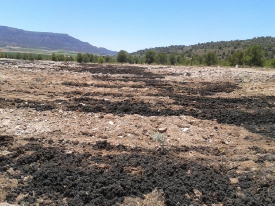 Durante los meses de junio, julio, agosto y septiembre está prohibido el uso de lodos de depuradora con fines agrícolas - 1, Foto 1