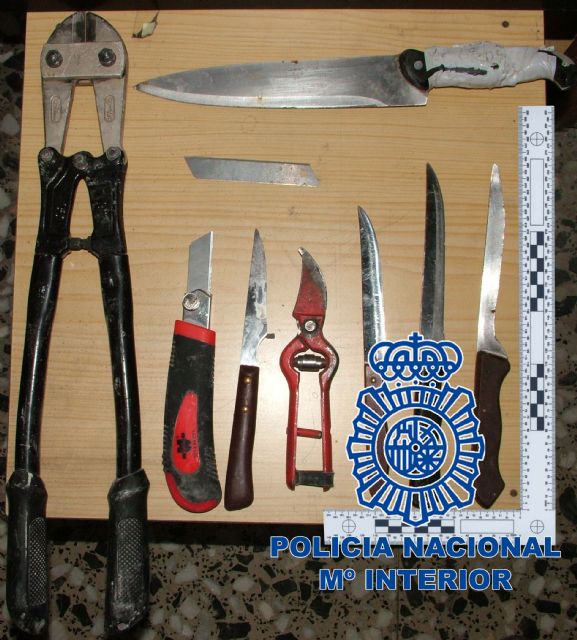 La Policía Nacional detiene a los autores de diversos robos de cableado eléctrico en empresas de la ciudad de Yecla - 1, Foto 1