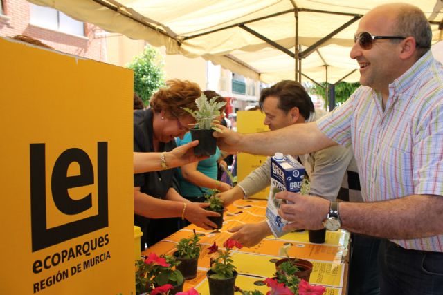 El Ayuntamiento de Bullas reparte plantas a cambio de reciclar - 4, Foto 4