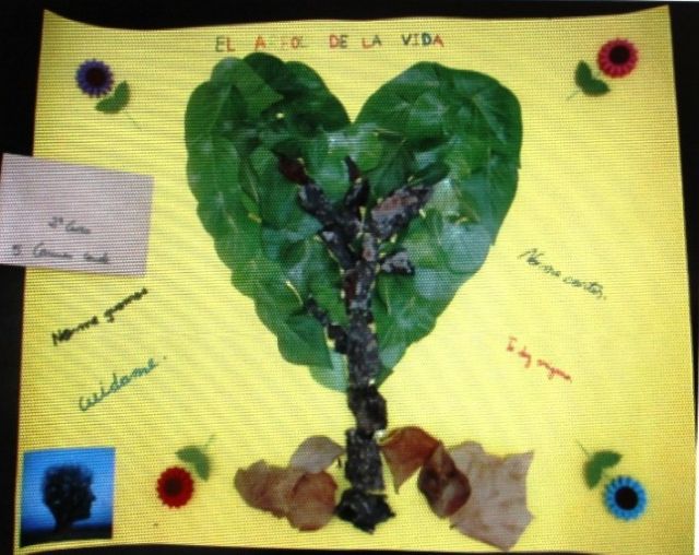 La Concejalía de Medio Ambiente celebra el Día Mundial del Medio Ambiente, el 5 de junio, con diversas actividades - 1, Foto 1