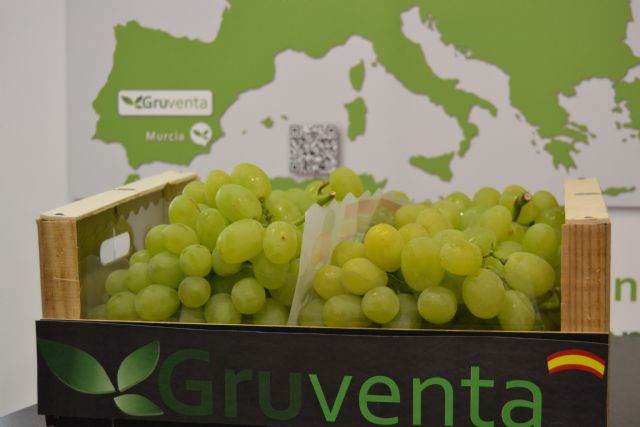 Se espera una campaña muy buena de uva de mesa española - 1, Foto 1