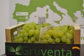 Se espera una campaña 'muy buena' de uva de mesa española