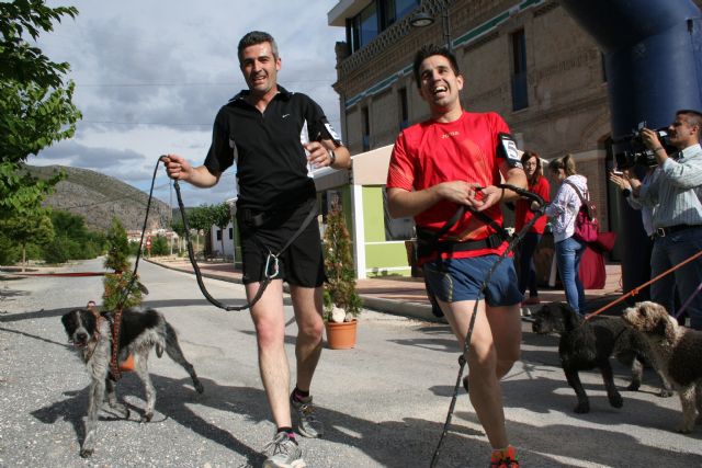 Corredores de varias nacionalidades participan en el I Canicross del Noroeste en el Día de la Región de Murcia - 1, Foto 1