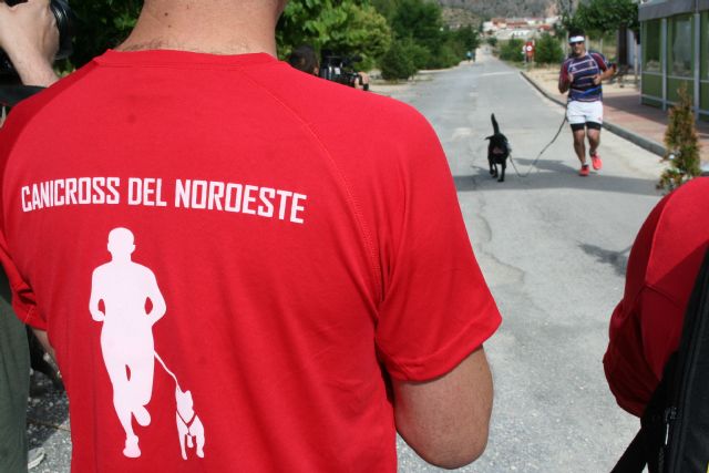 Corredores de varias nacionalidades participan en el I Canicross del Noroeste en el Día de la Región de Murcia - 3, Foto 3