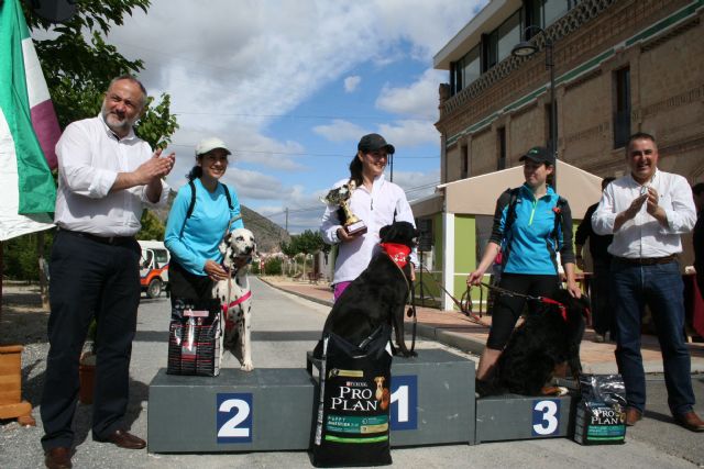 Corredores de varias nacionalidades participan en el I Canicross del Noroeste en el Día de la Región de Murcia - 5, Foto 5