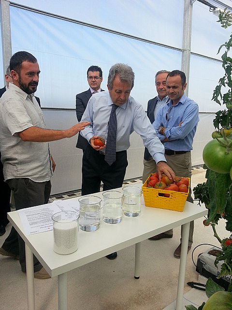 Murcia desarrolla un proyecto europeo experimental para aplicar los nutrientes de las aguas depuradas en la producción de cultivos bajo invernadero - 1, Foto 1