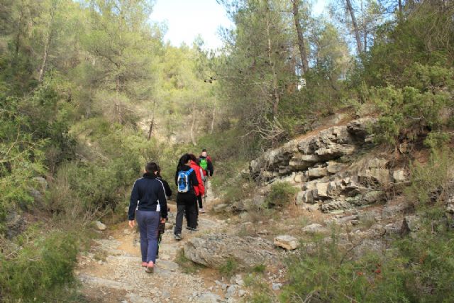Montes pide a los vecinos que extremen las precauciones este verano para evitar los incendios forestales - 1, Foto 1