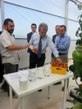 Murcia desarrolla un proyecto europeo experimental para aplicar los nutrientes de las aguas depuradas en la produccin de cultivos bajo invernadero