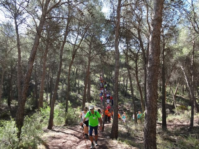 El Club Senderista de Totana colaboró en la ruta senderista llevada acabo en Aledo, Foto 3