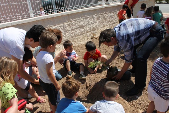 Los más pequeños aprenden a plantar pinos y especies autóctonas - 3, Foto 3