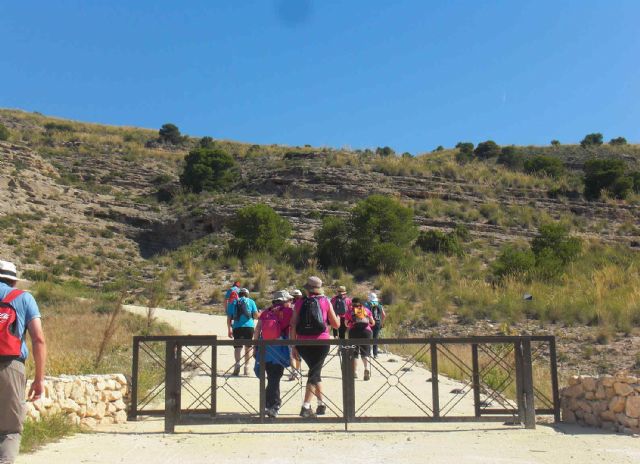 La Asociación de Senderismo Los Peregrinos de Las Torres de Cotillas no para - 5, Foto 5