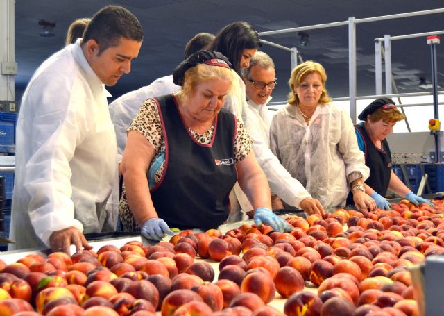 Diputados de Toledo y Cantabria visitan una empresa hortofrutícola de Abarán - 3, Foto 3