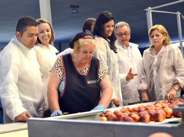 Diputados de Toledo y Cantabria visitan una empresa hortofrutícola de Abarán - 4, Foto 4