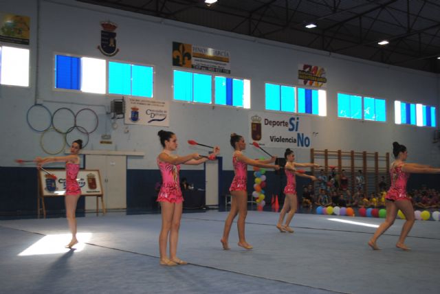 La escuela de gimnasia rítmica torreña baja el telón del curso 2012-13 - 4, Foto 4